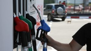 Russian Regions Gain Authority to Support Small Excise Goods Manufacturers