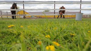 Russian Tax Authority Cracks Down on ‘Tax Migration’ Among Agricultural Businesses