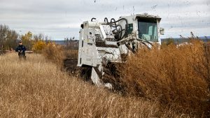 Shadow Demining Market Emerges in Ukraine as Farmers Seek Faster Land Clearance